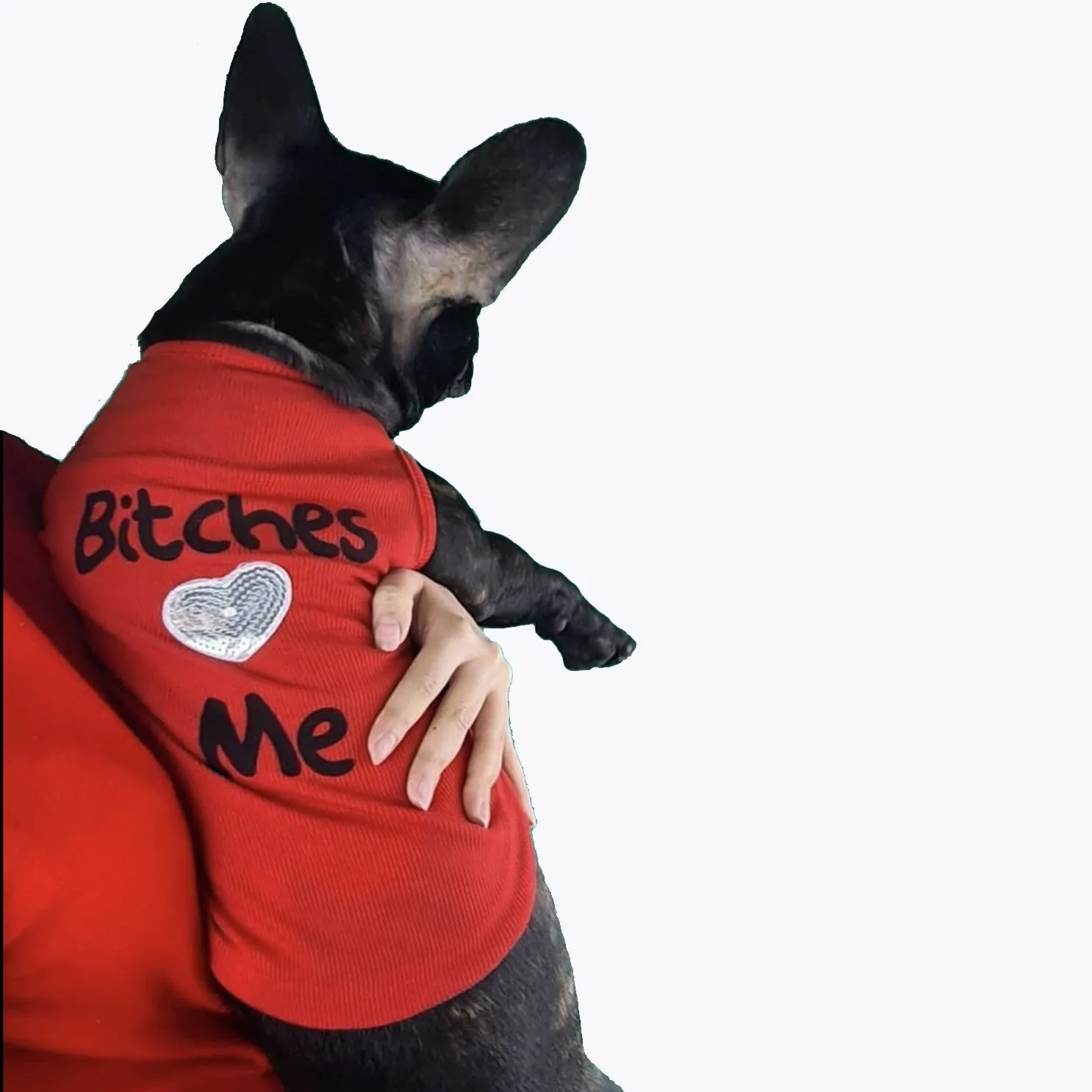 Bitches Love me Summer T-Shirts for French Bulldog (WS79)